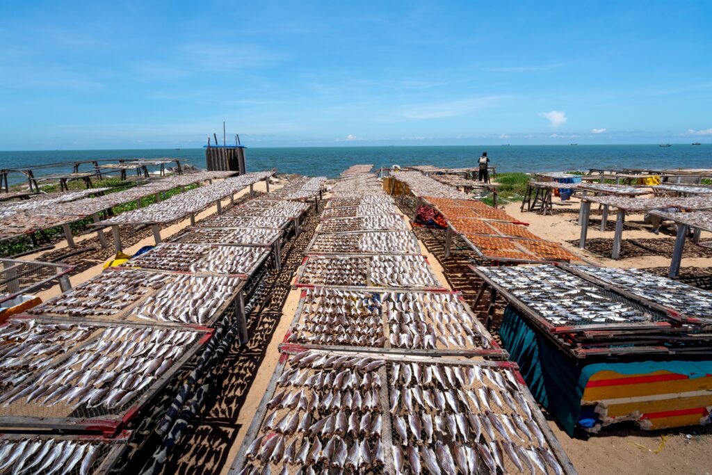 Fish farming in India